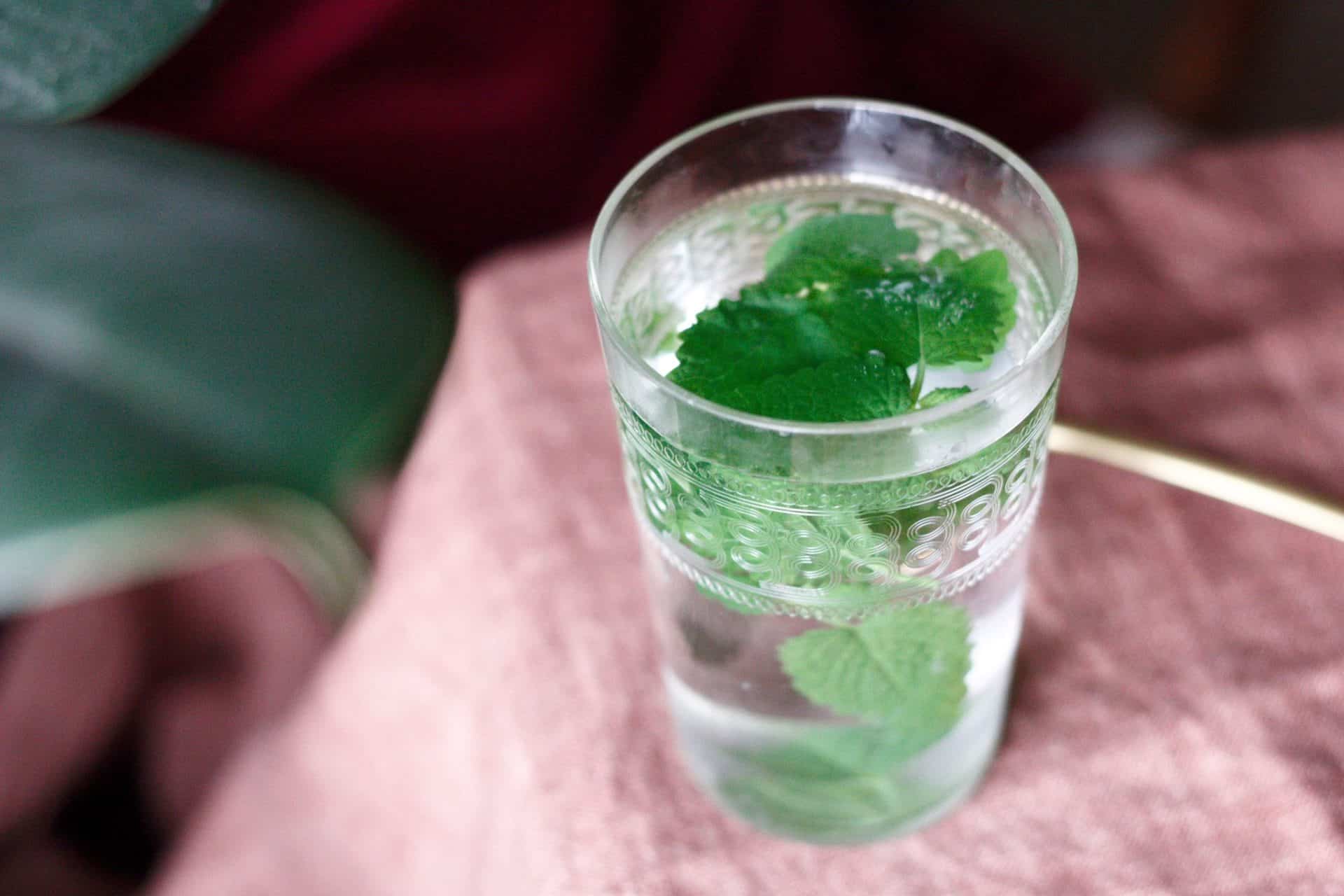 Lemon Balm Tea